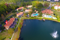 3041YellowLantana_Aerial_4
